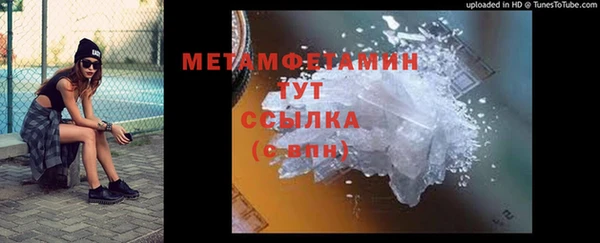 прущие грибы Володарск