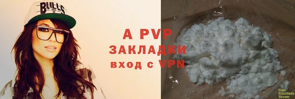 прущие грибы Володарск