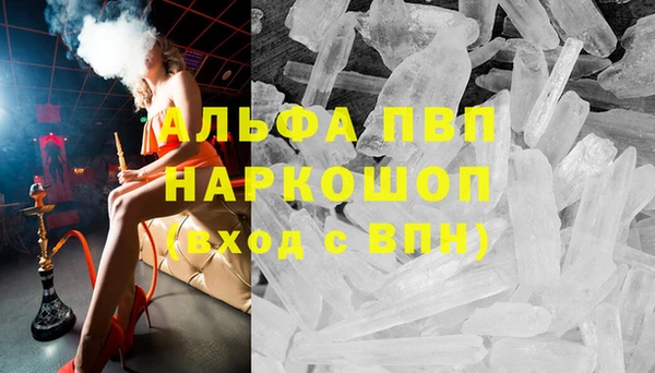 прущие грибы Володарск