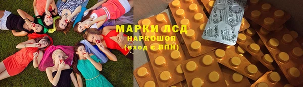 прущие грибы Володарск